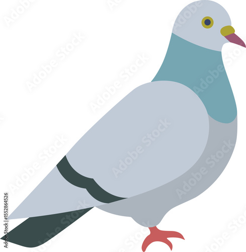 Illustration of a pigeon in a flat minimalist design style. 