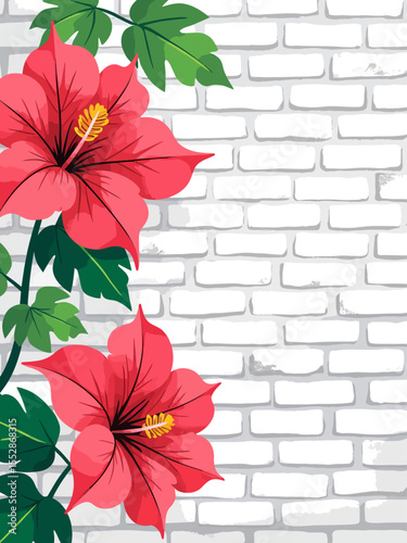 Bougainvillea and white slightly aged brick wall