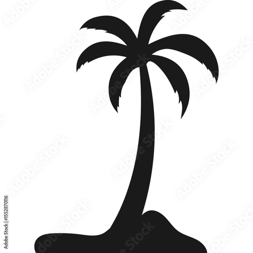 Palm Tree Silhouette