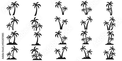Palm Tree Silhouette