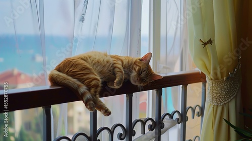 A relaxed cat lounging by the window.