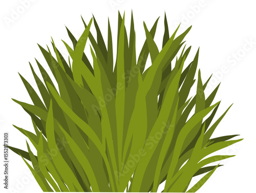Grass Bush Illustration