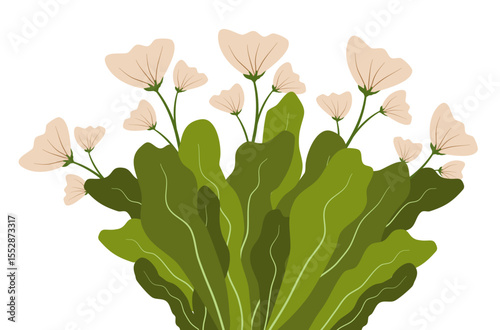 Grass Bush With Flower Illustration