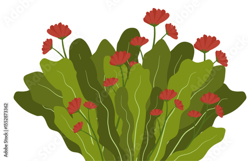 Grass Bush With Flower Illustration