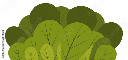 Grass Bush Illustration