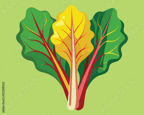 Fresh vibrant swiss chard leaves with colorful leaves vector art design 