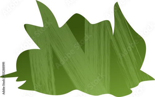 bush on isolated white