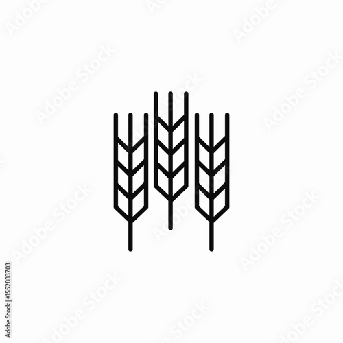 wheat stalks icon sign vector