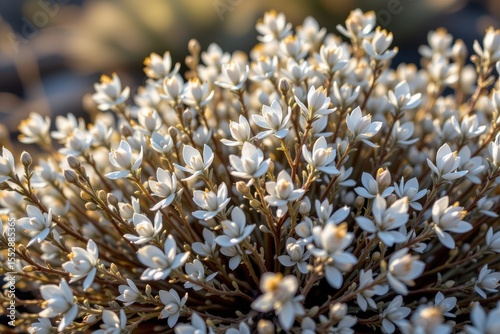 close up of glowing sagebrush with silvery leaves shimmering under the sun, representing hardy drought resistant shrubs in arid regions.