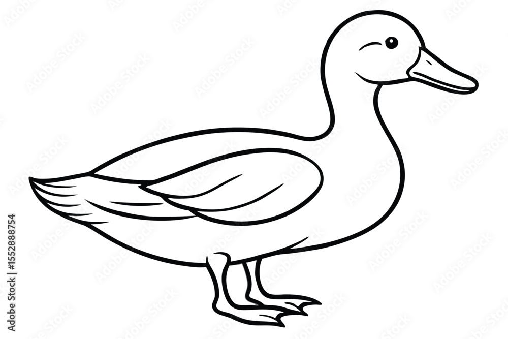 Black lined duck facing right evokes simple beauty and avian charm Black lined duck facing right evokes simple beauty and avian charm