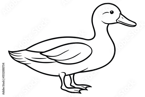 Black lined duck facing right evokes simple beauty and avian charm
