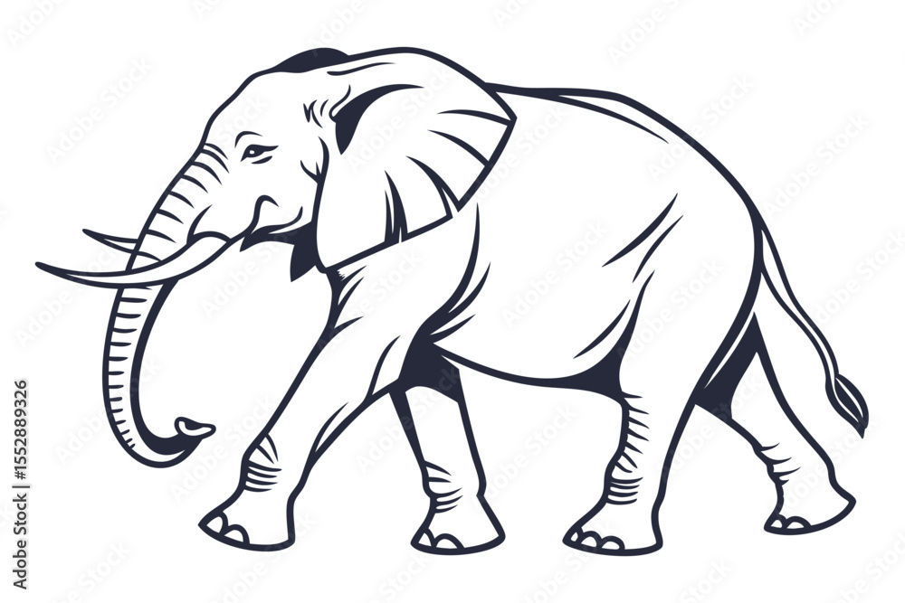Fototapeta premium Strong elephant illustration is walking with its trunk raised in a simple black and white design