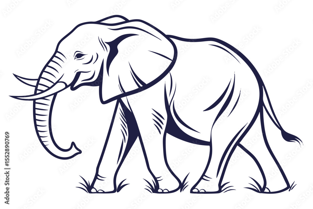 Obraz premium Striking elephant portrait in black and white reveals the power and grace of the beast