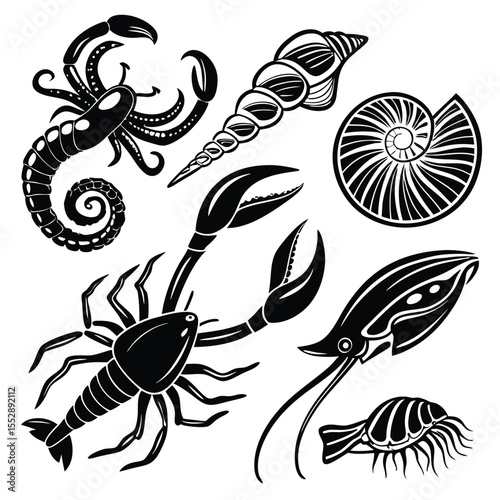 Black and white line art of seashells crabs and scorpion illustrations