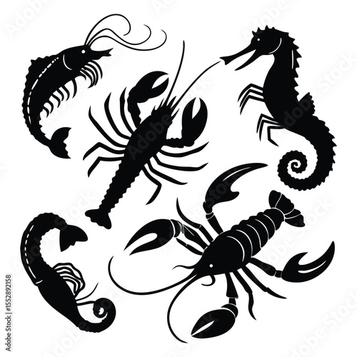 Black silhouettes of sea creatures shrimp lobster seahorse crab and prawn on white