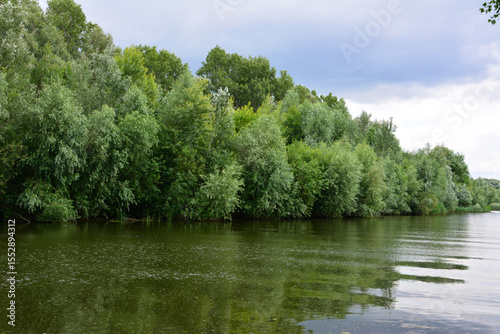 Riverside Trees and Calm Water Under a Cloudy Sky