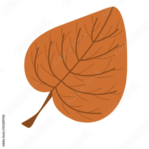 vector illustration of a leaf in autumn