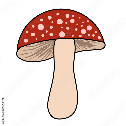 mushroom vector illustration