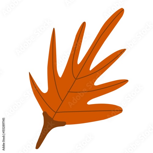 vector illustration of an autumn leaf