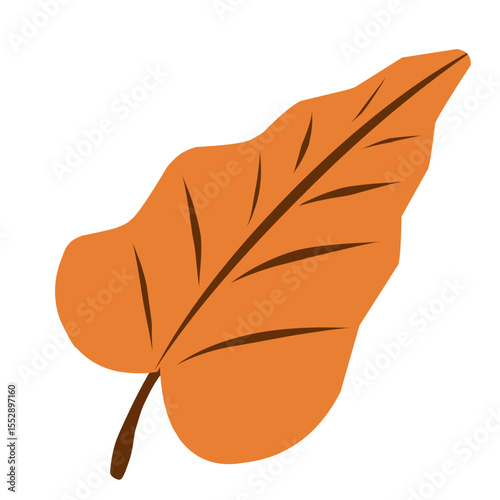 Simple vector illustration of leaf on autumn