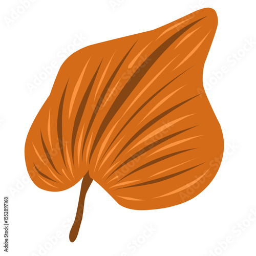 Autumn leaf vector illustration