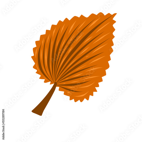 Leaf vector illustration in autumn
