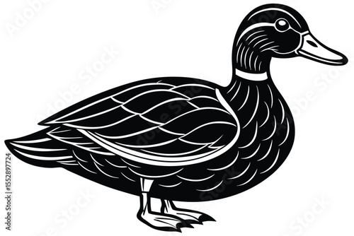 Outline duck stands looking forward with small eye and beak on white
