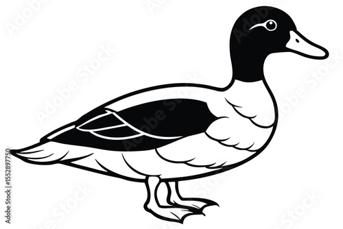 Line art of a single mallard duck gracefully floating on water looks stunning