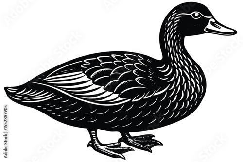 Outlined duck stands patiently as it gazes towards a bright future, a calm vector