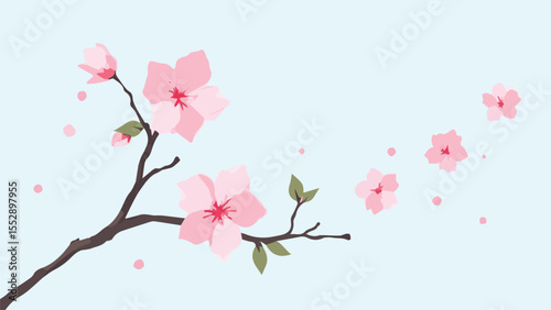 cherry blossom branch