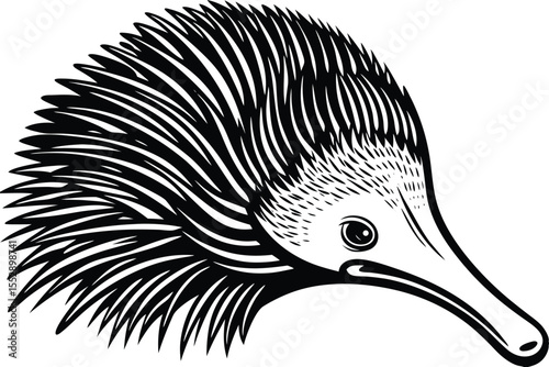 Outlined cartoon echidna with a long snout is smiling happily in black and white