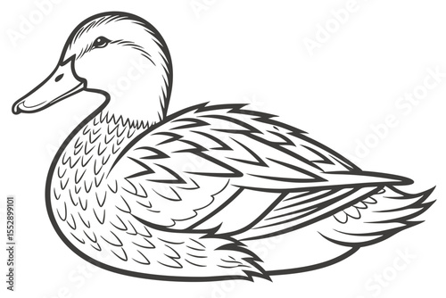 Monochrome duck stands, its sleek black head contrasts sharply against a plain backdrop