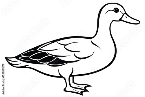 Line art shows simple outlined duck standing sideways on a plain background