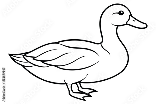 Monochrome duck shows detailed plumage in a sharp black and white rendition