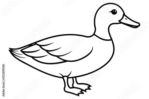 art shows a beautifully detailed black duck with elegant white accents standing on white
