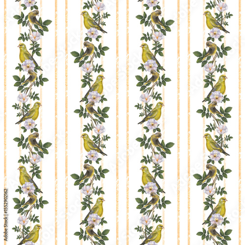 Greenfinch birds - seamless pattern of stripes and flowers of rose hips, branches, leaves. Watercolor illustration isolated on white background. Seamless pattern for textile design, cards, template