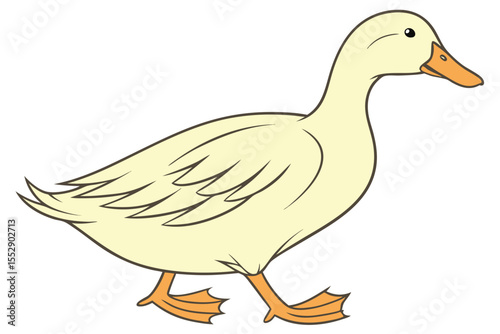 Charming duck strides along in simple elegance, a gentle portrayal of wildlife