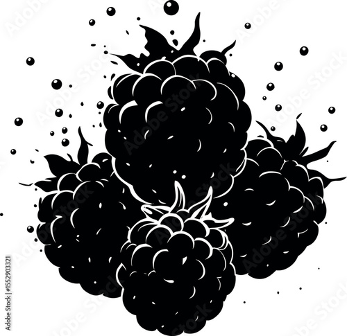 Blackberries fruit arrangement fresh food silhouette vector illustration