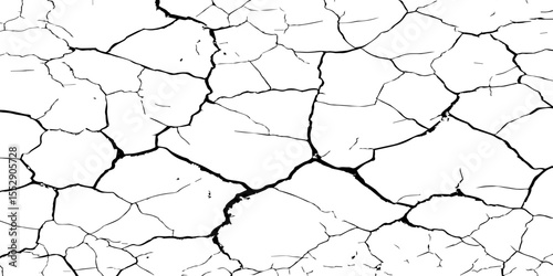 A close-up, high-contrast, black and white image of a cracked surface. The intricate network of cracks, ranging from thick, deep fissures to fine, branching lines, creates a stark and textured pattern