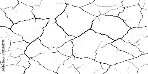 A close-up, high-contrast, black and white image of a cracked surface. The intricate network of cracks, ranging from thick, deep fissures to fine, branching lines, creates a stark and textured pattern