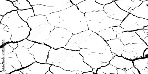 A close-up, high-contrast, black and white image of a cracked surface. The intricate network of cracks, ranging from thick, deep fissures to fine, branching lines, creates a stark and textured pattern