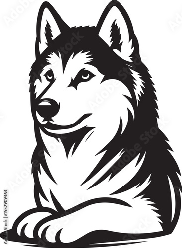 Siberian Husky Dog Vector Illustration in Black and White	
