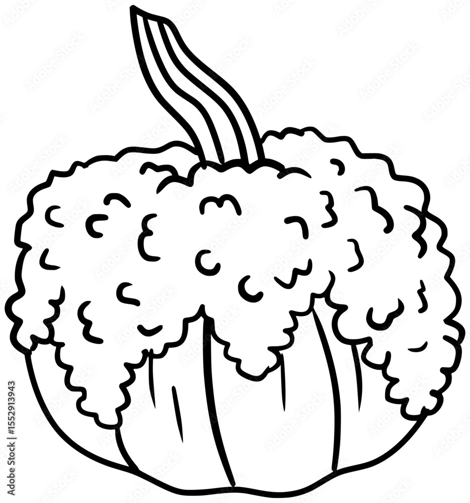 Fototapeta premium Galeux D'eysines Pumpkin Vector Outline Line Art Drawing