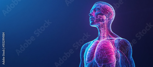 Human alveoli and bronchial loops depicted over a vivid bright blue backdrop