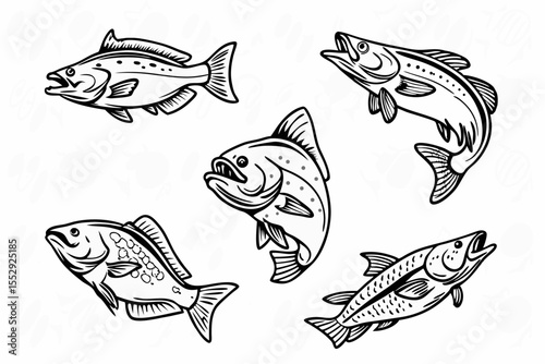 Vector illustration set of various fish species, including trout, bass, and marlin. Ideal for fishing logos, outdoor designs, stickers, and t-shirt designs
