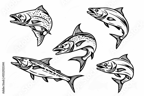 Vector illustration set of various fish species, including trout, bass, and marlin. Ideal for fishing logos, outdoor designs, stickers, and t-shirt designs