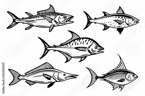 fish, sea, vector, illustration, fishing, animal, water, ocean, nature, food, underwater, salmon, icon, shark, marine, seafood, tuna, cartoon, river, aquarium, silhouette, art, wildlife, set, design