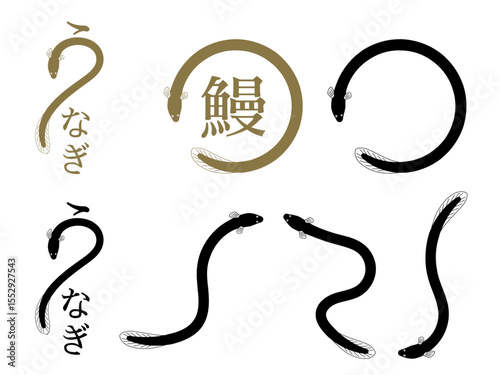 うなぎの模様