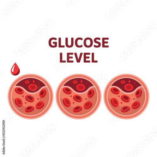 Glucose Level Illustration with Blood Vessels and Blood Cells