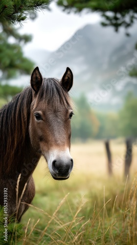 Horse grazing in a serene meadow surrounded by trees and mountains during a cloudy day